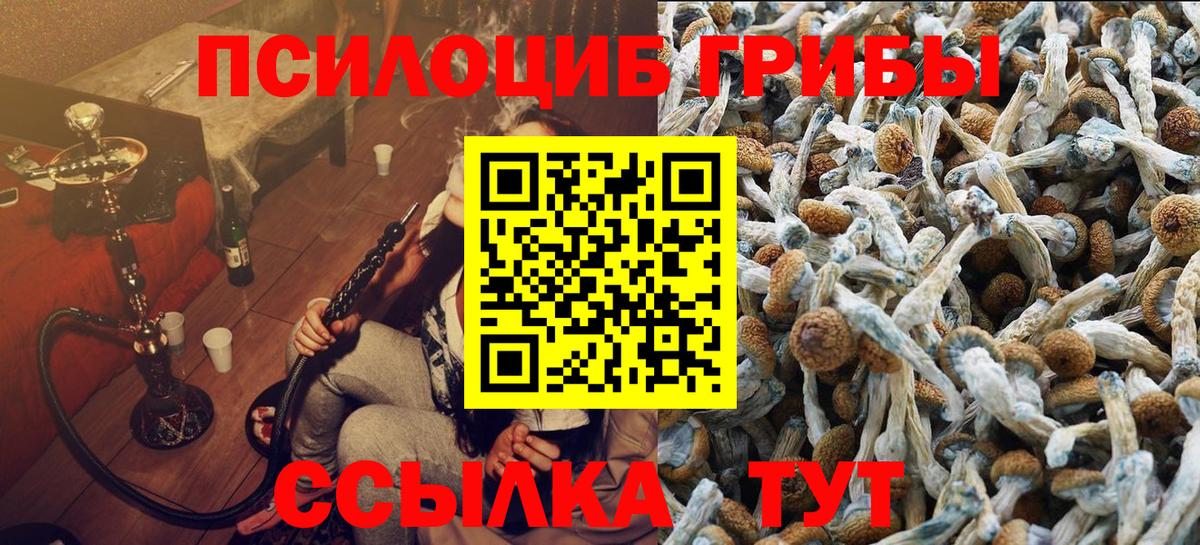 Галлюциногенные грибы Magic Shrooms  Псилоцибиновые грибы прущие грибы  Долгопрудный  Вход с VPN 
